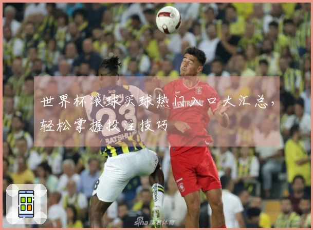 世界杯滚球买球热门入口大汇总,轻松掌握投注技巧