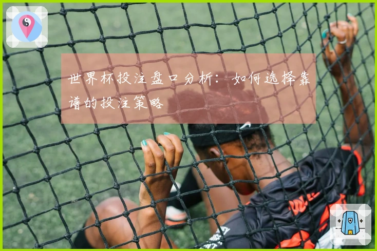 世界杯投注盘口分析：如何选择靠谱的投注策略