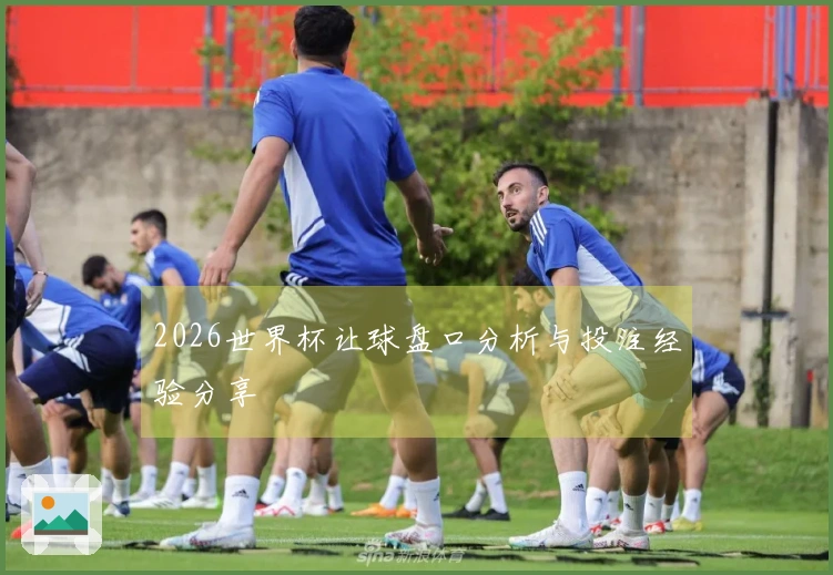2026世界杯让球盘口分析与投注经验分享