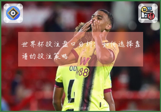 世界杯投注盘口分析：如何选择靠谱的投注策略