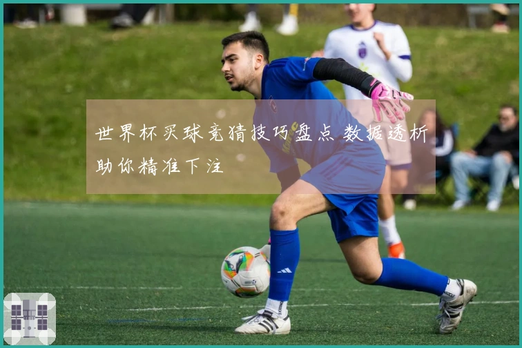世界杯买球竞猜技巧盘点 数据透析助你精准下注