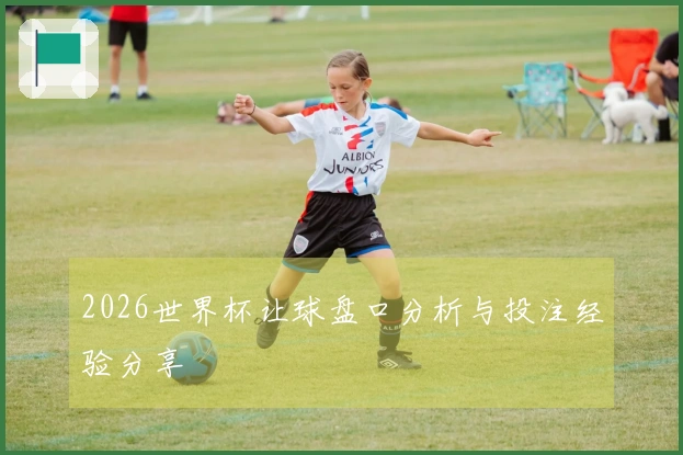 2026世界杯让球盘口分析与投注经验分享
