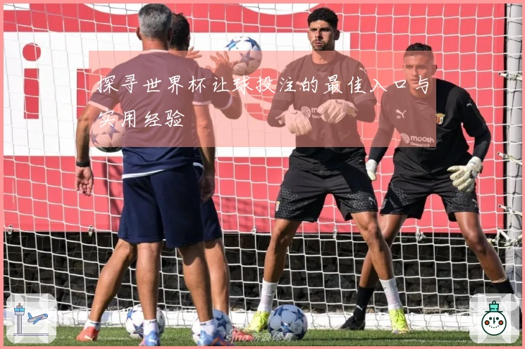 探寻世界杯让球投注的最佳入口与实用经验