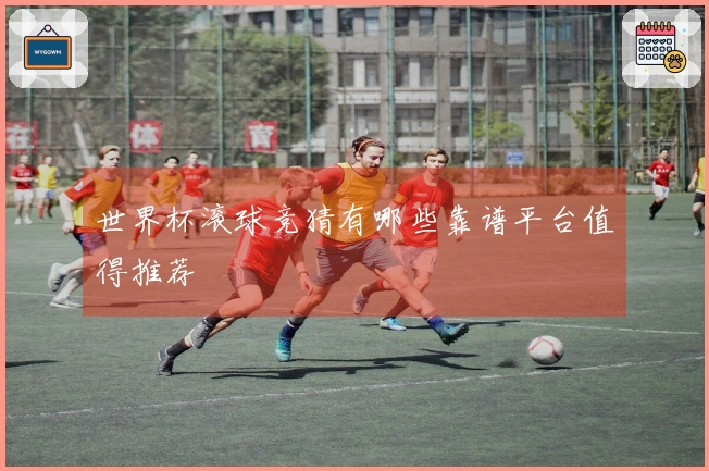 世界杯滚球竞猜有哪些靠谱平台值得推荐